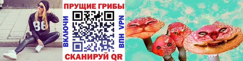 Псилоцибиновые грибы Psilocybine cubensis Череповец
