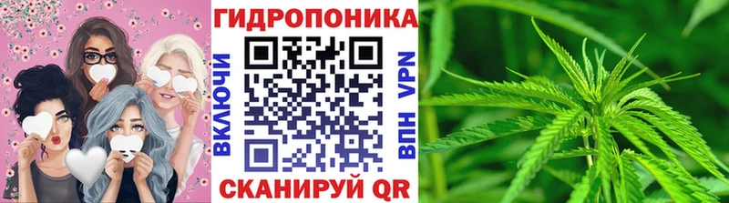 Канабис сатива  omg как войти  Череповец  где найти  